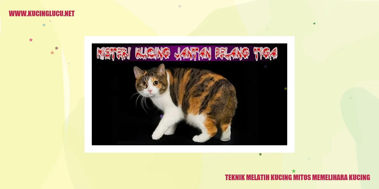 Teknik Melatih Kucing