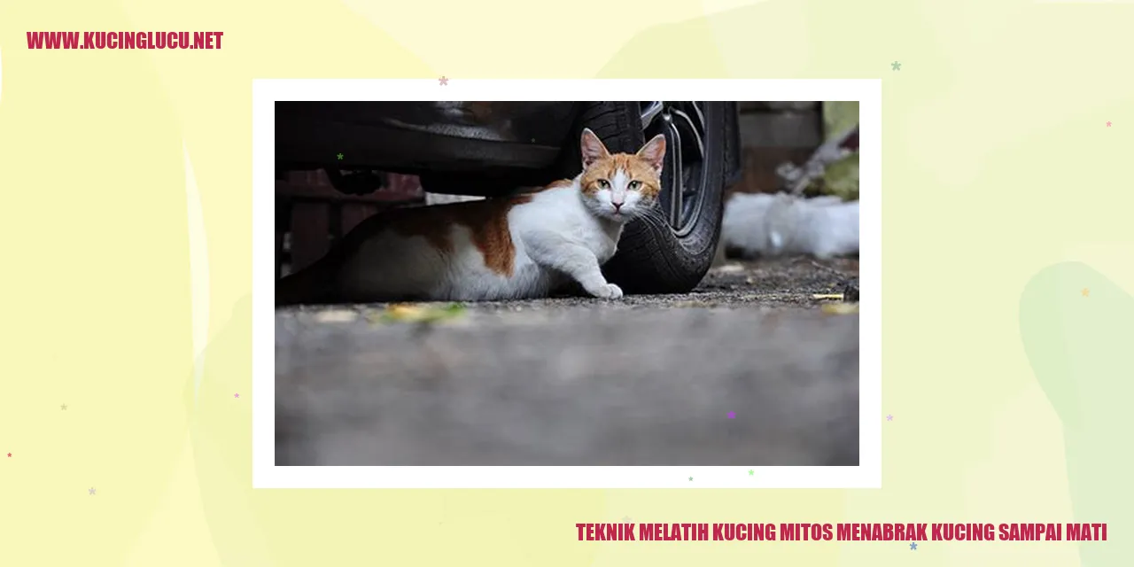 Teknik Melatih Kucing: Mitos Menabrak Kucing Sampai Mati