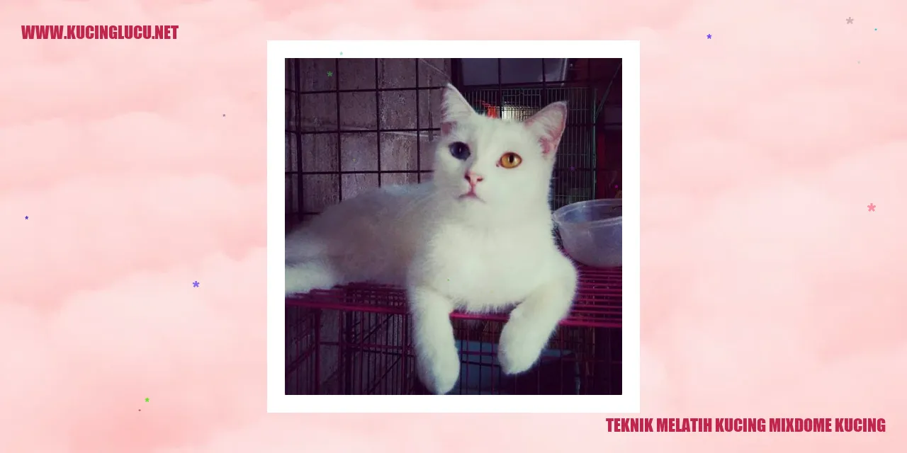 Gambar Kucing Mixdome