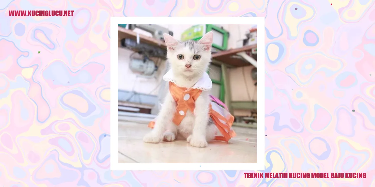Kucing model baju kucing
