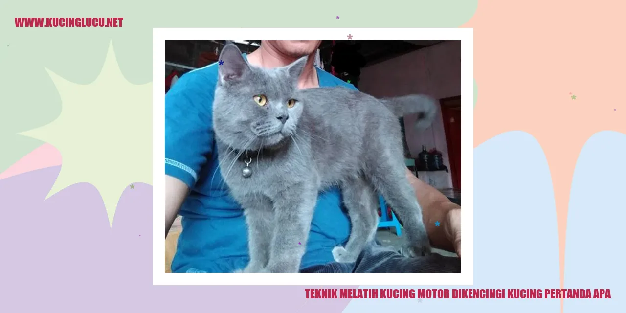 Kucing motor dikencingi kucing