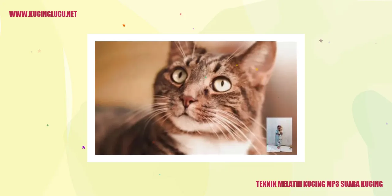 Teknik Melatih Kucing mp3 suara kucing