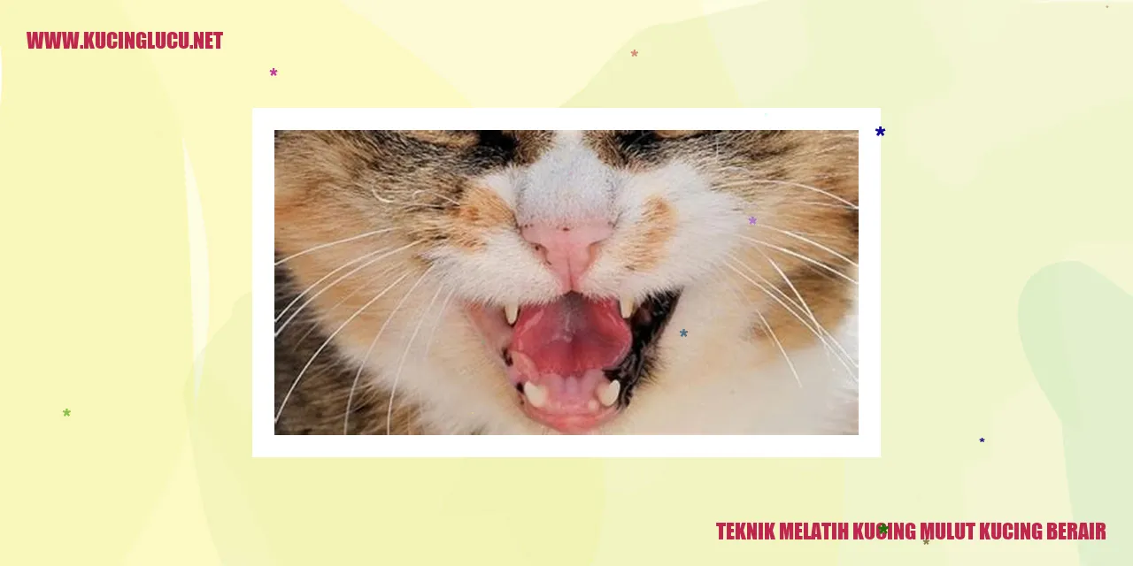 Teknik Melatih Kucing agar Tidak Mengeluarkan Air dari Mulutnya