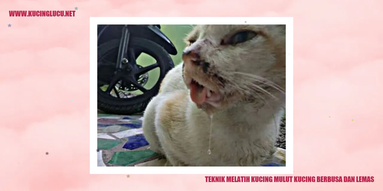 Teknik Melatih Kucing mulut kucing berbusa dan lemas