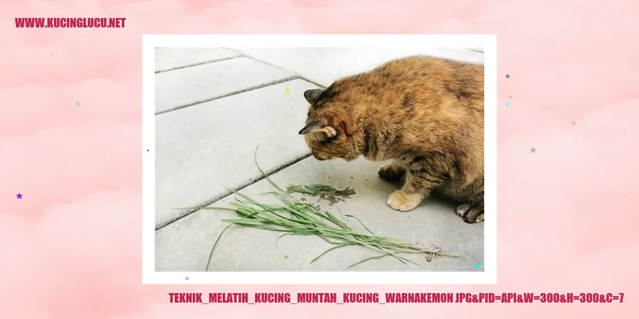 Kucing dengan Bulu Coklat