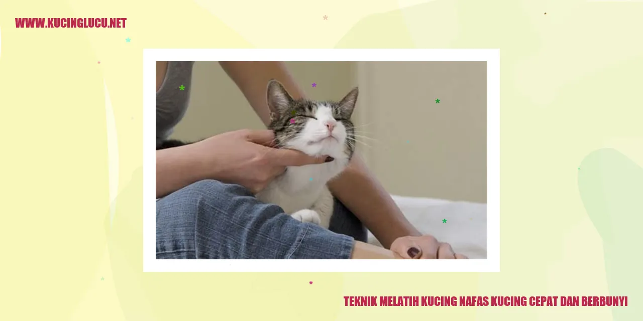 Gambar Kucing