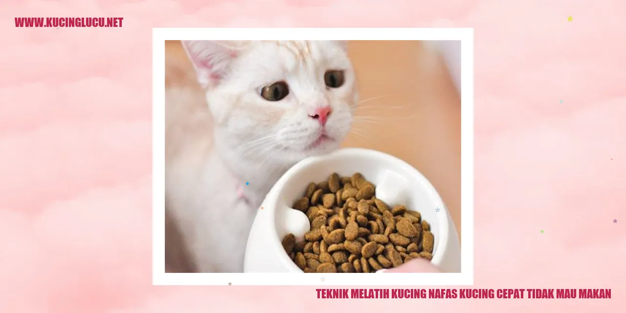 Gambar Kucing yang Menggemaskan