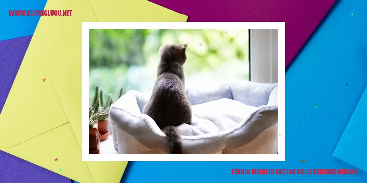 Gambar Teknik Melatih Kucing najis kencing kucing