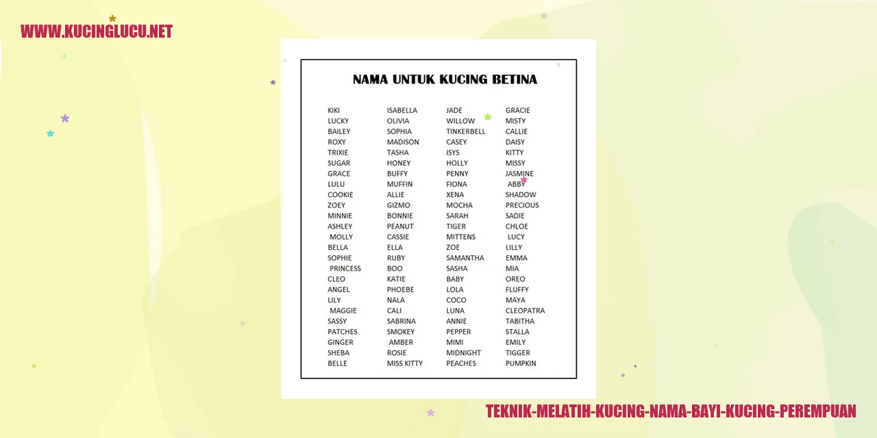 Melatih Kucing