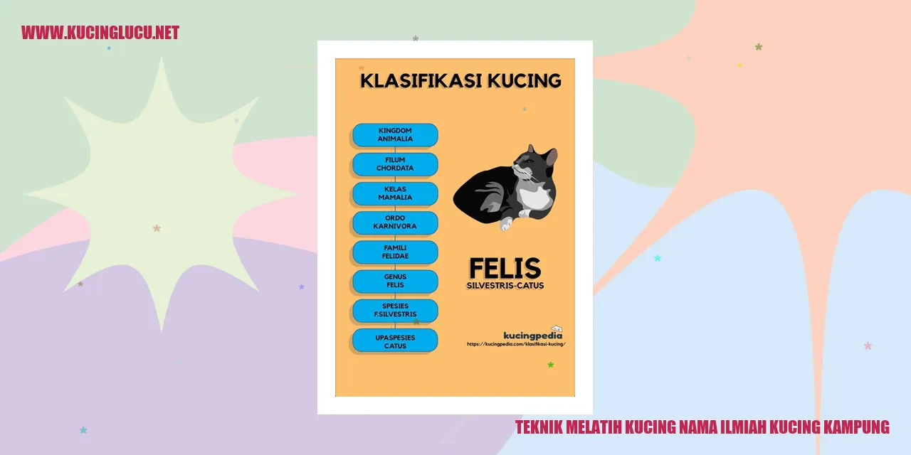 Kucing Kampung