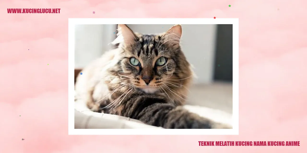 Kucing anime
