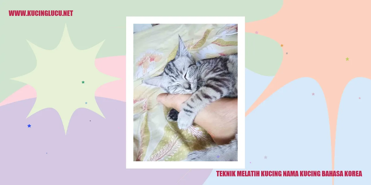 Kucing sedang belajar