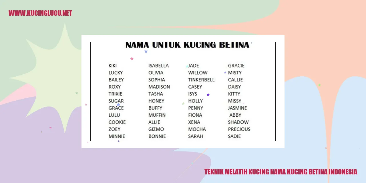 Kucing Betina Indonesia