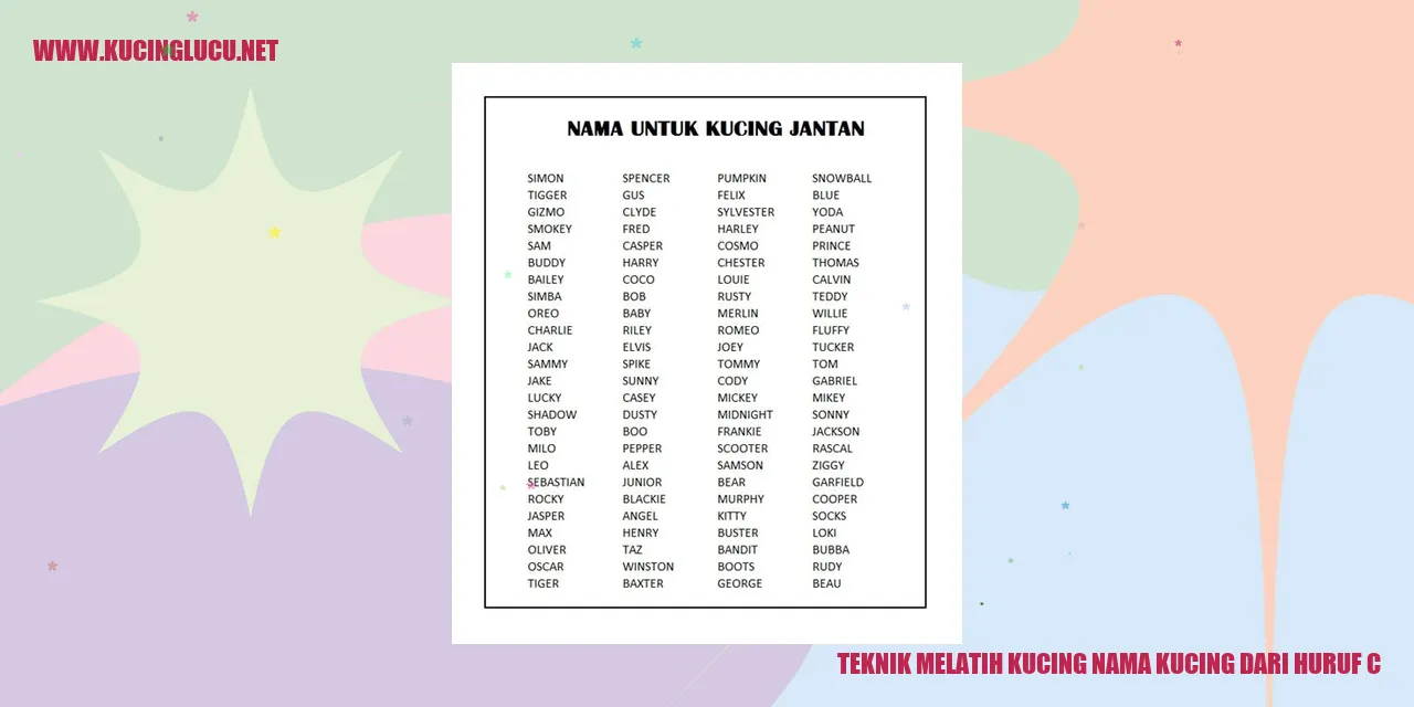 Kucing sedang menjalani pelatihan