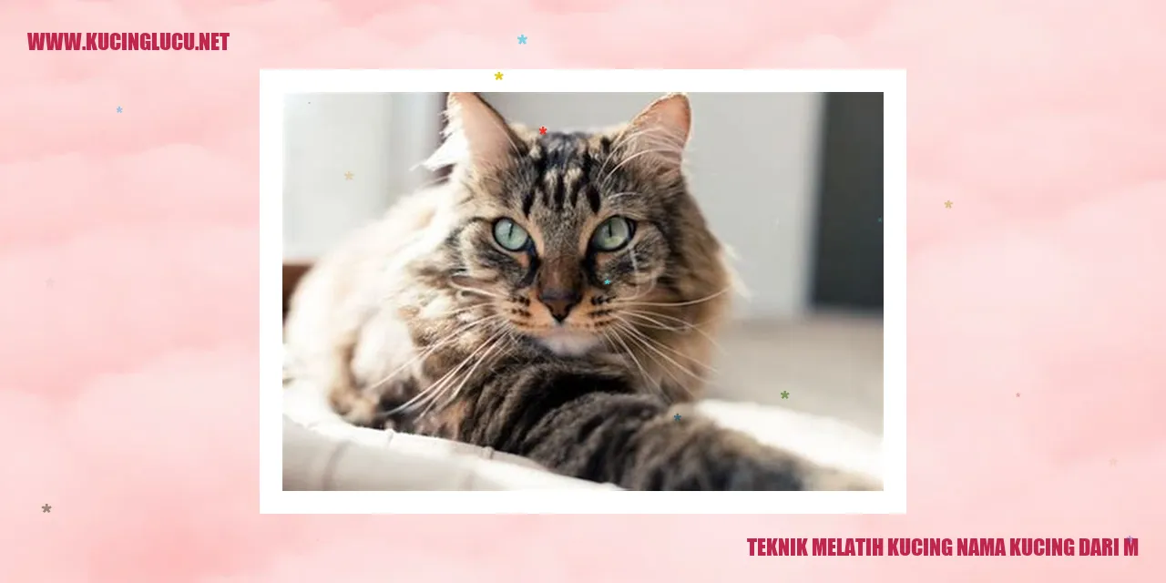 Teknik Melatih Kucing