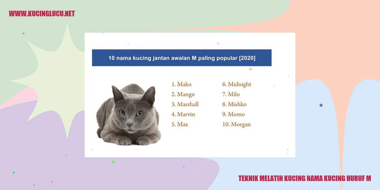 Teknik Melatih Kucing