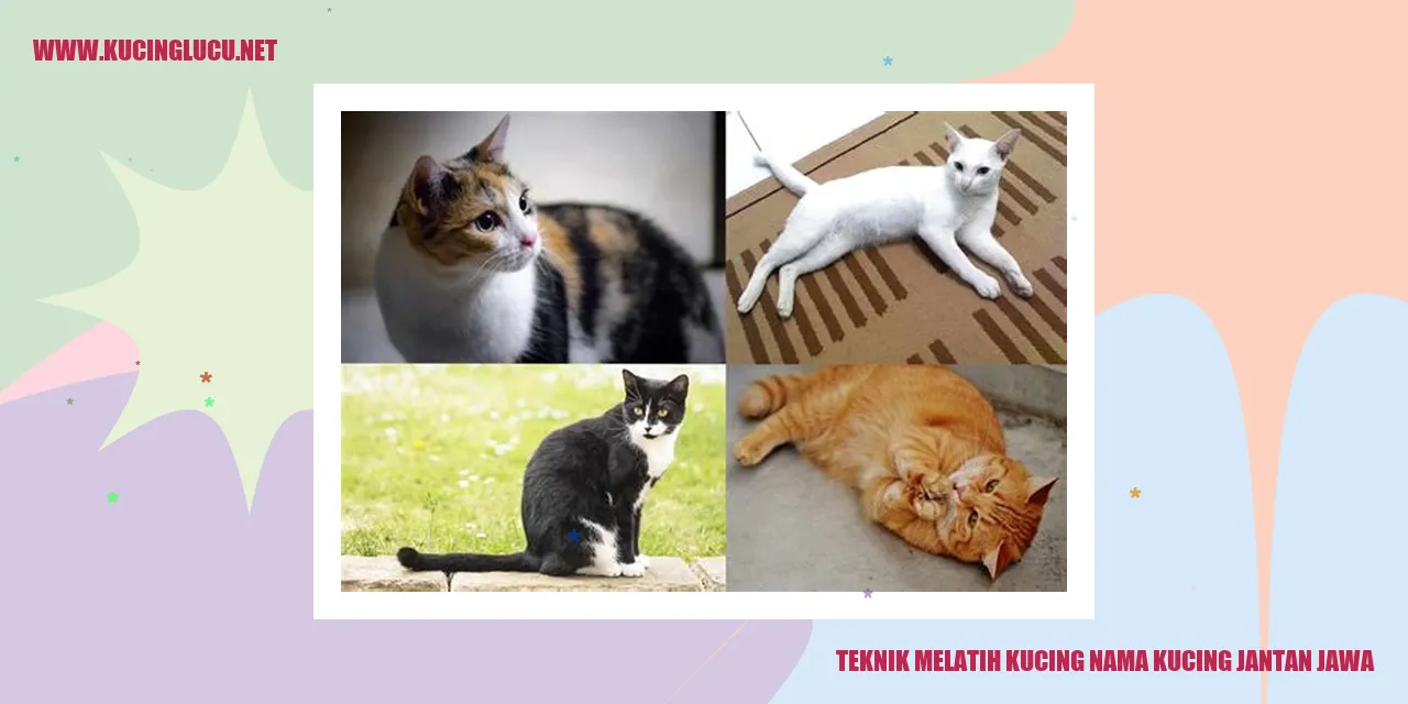 Teknik Melatih Kucing