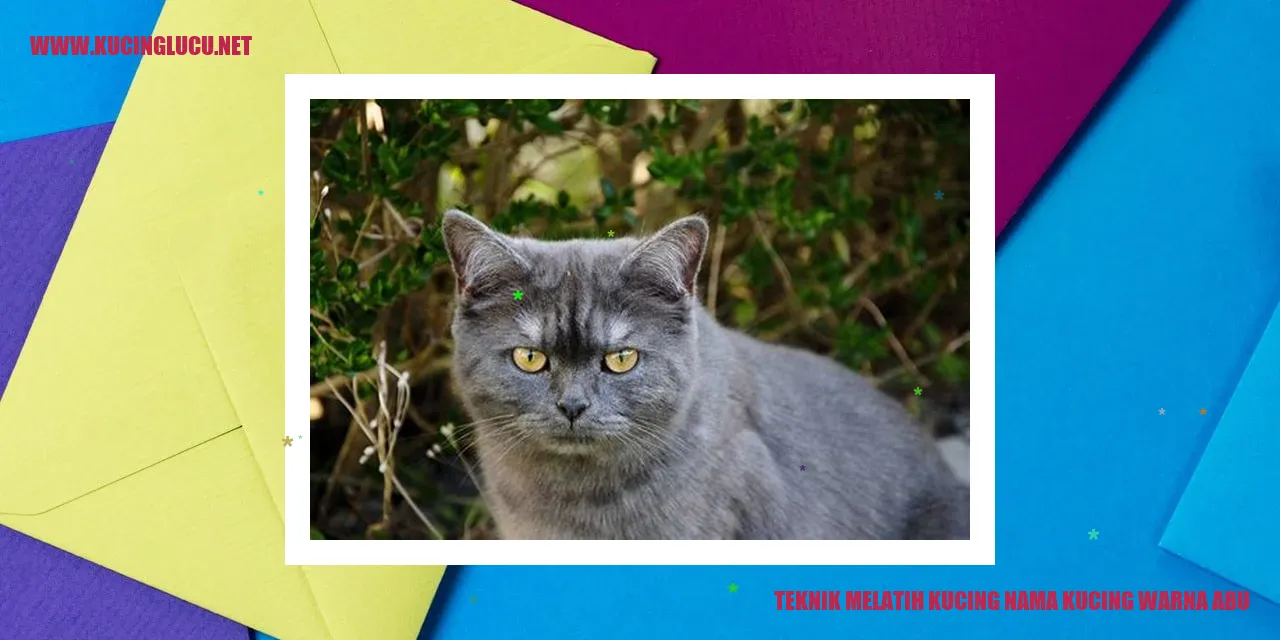 Kucing berwarna abu