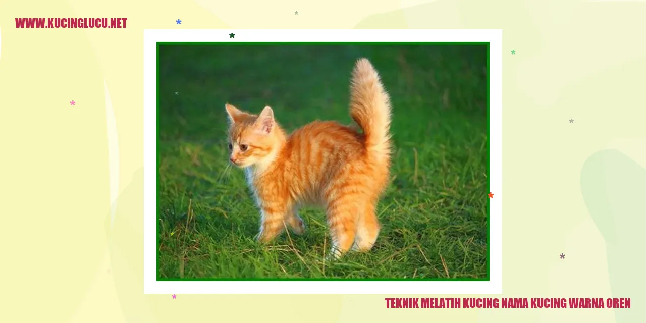 Kucing oren