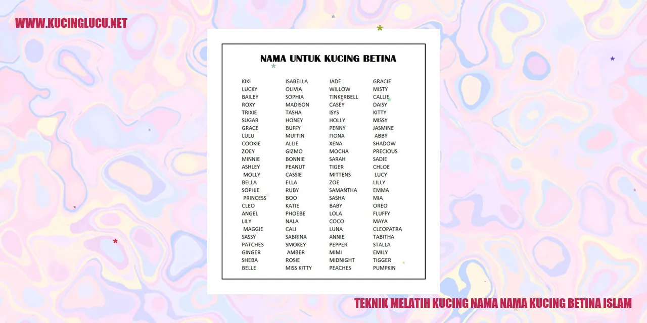 Gambar Kucing Betina Islami