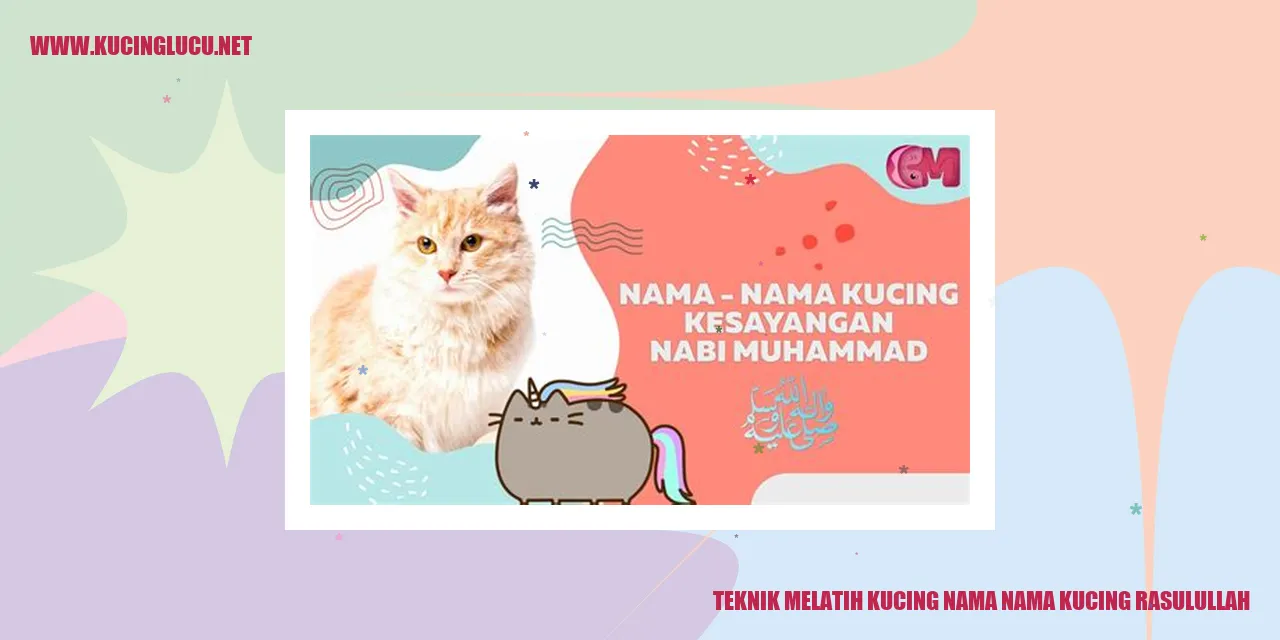 Teknik Membina Kucing dengan Nama-nama Kucing Rasulullah