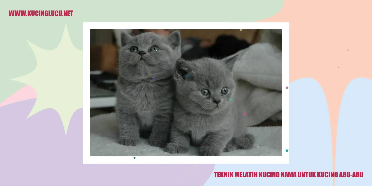 Teknik Melatih Kucing Nama untuk Kucing Abu-abu