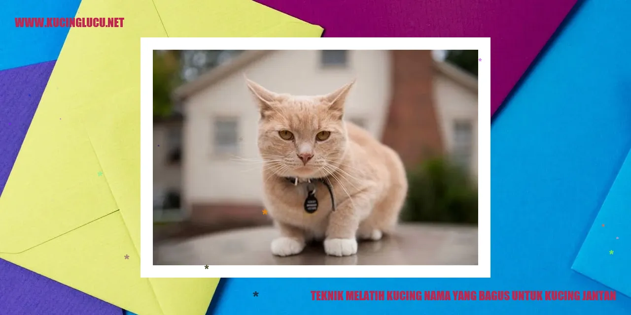 Kucing jantan yang menggemaskan