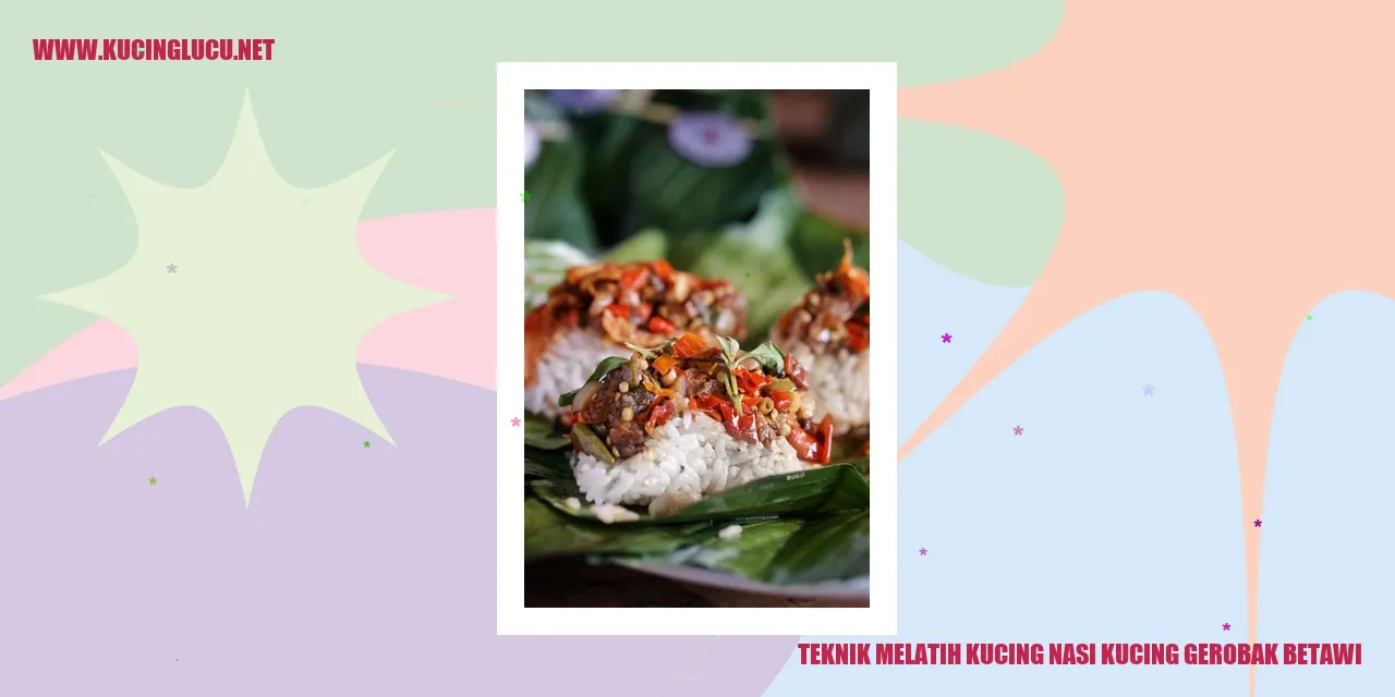 Kucing Nasi Kucing Gerobak Betawi