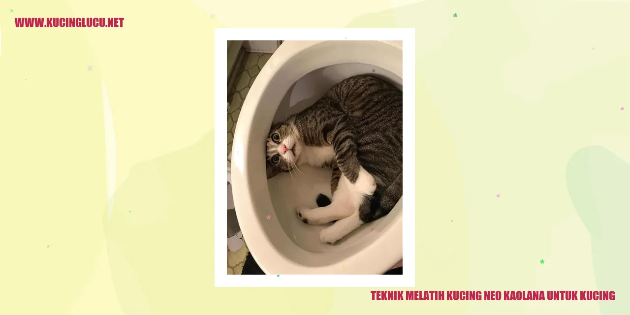 Teknik Melatih Kucing neo kaolana untuk Kucing