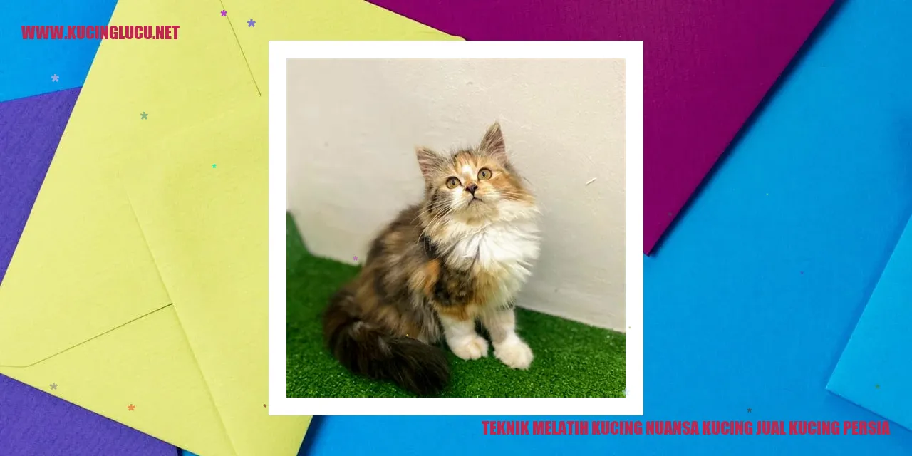 Kucing Persia