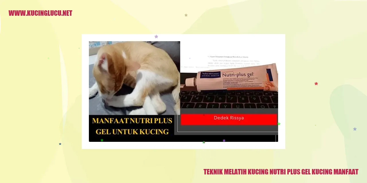 Gambar Kucing