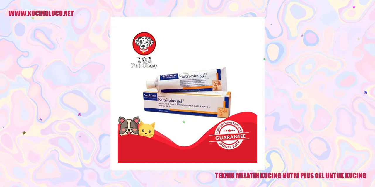 gambar kucing dengan nutri plus gel