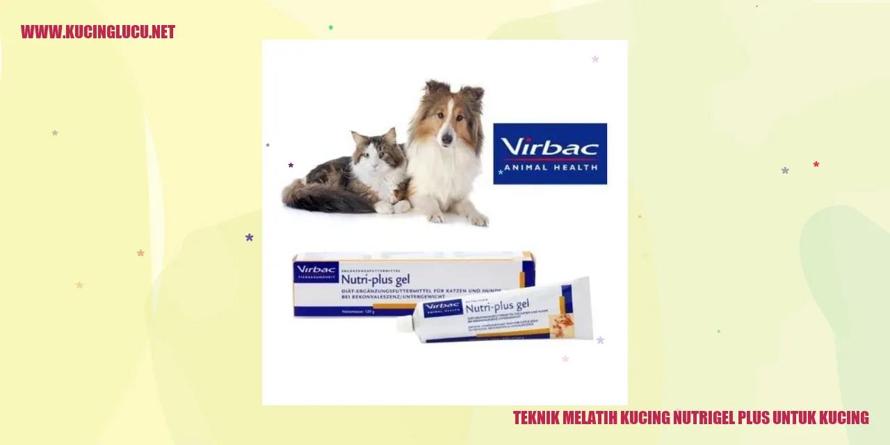 Gambar Kucing Mengkonsumsi Nutrigel Plus