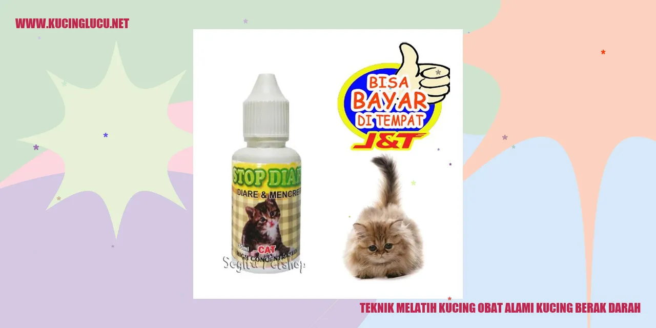 Kucing Sehat
