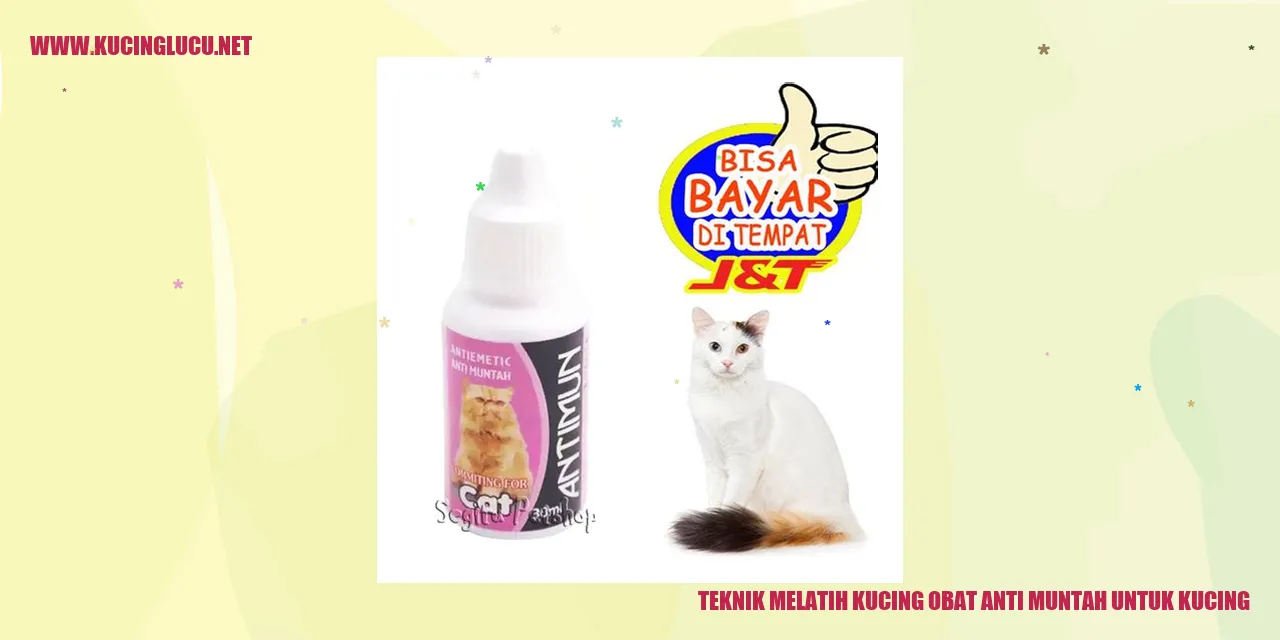 Kucing menelan obat anti muntah