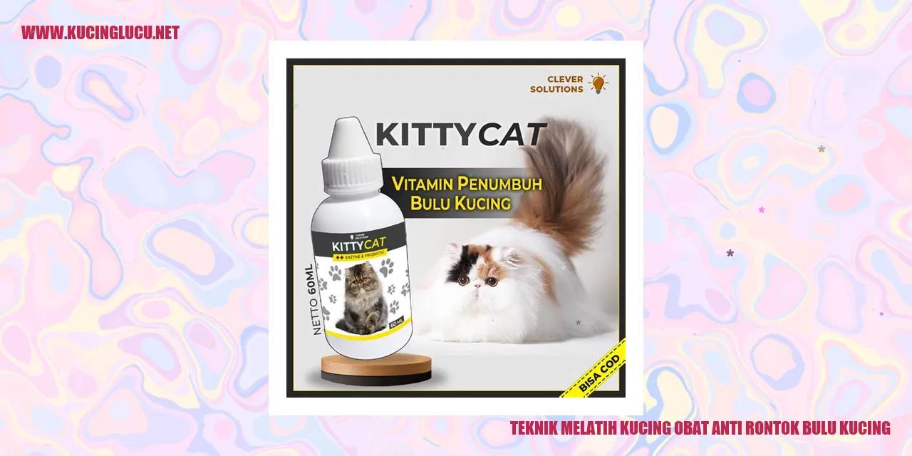 Teknik Pelatihan Kucing dengan Obat Penangkal Rontok Bulu Kucing