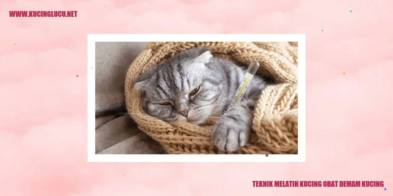 Kucing yang menggemaskan