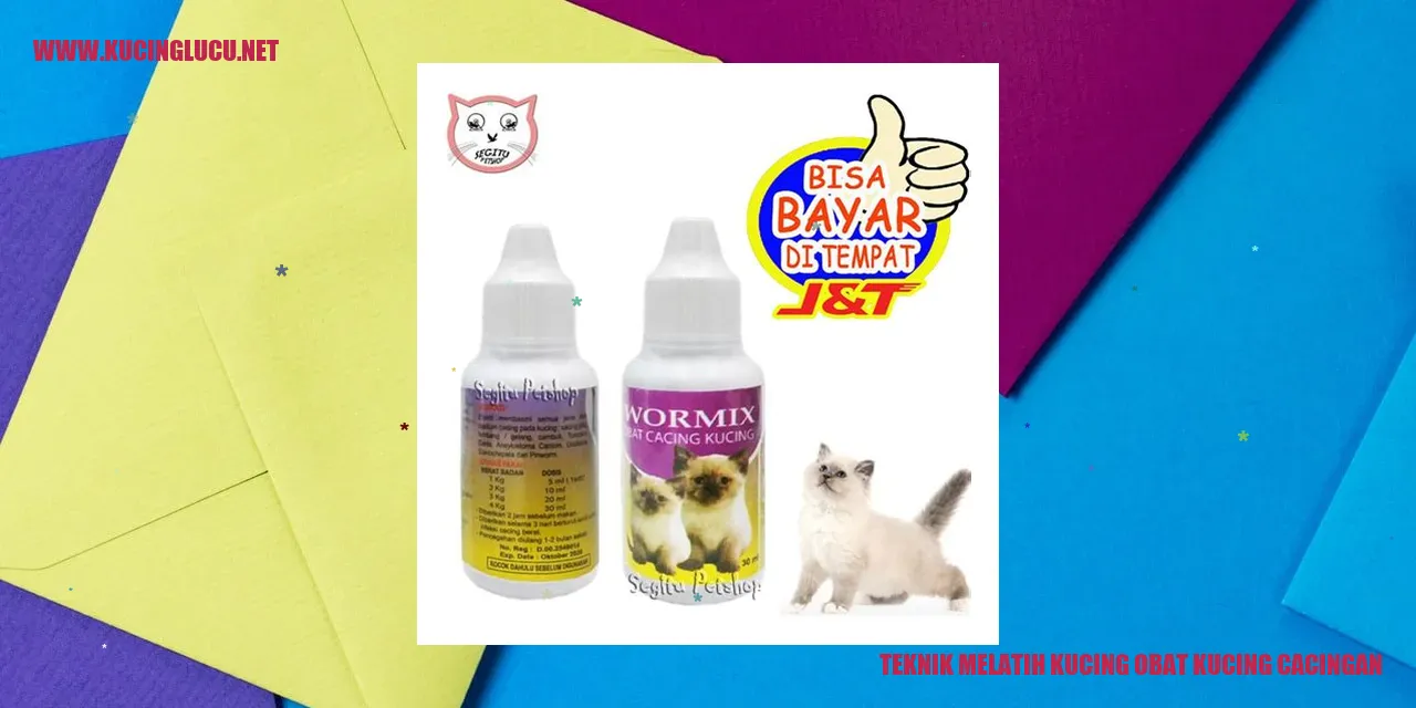 Gambar kucing