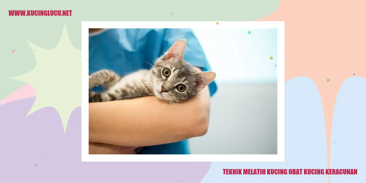 Teknik Melatih Kucing obat kucing keracunan