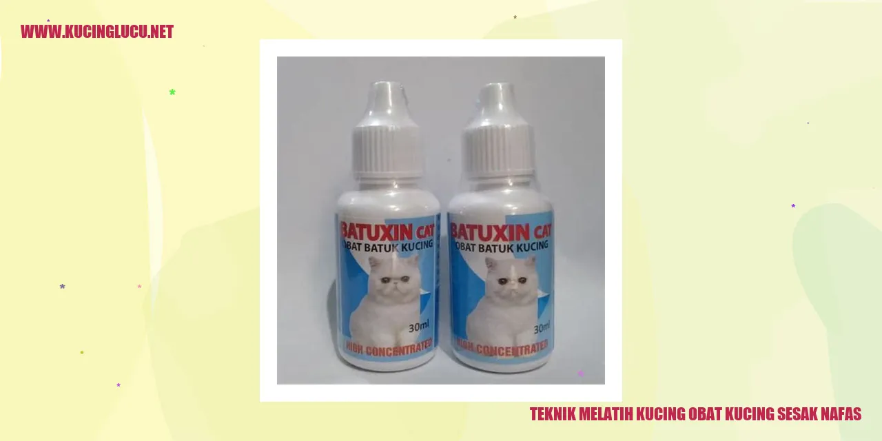 Ilustrasi Kucing dengan Masalah Sesak Nafas