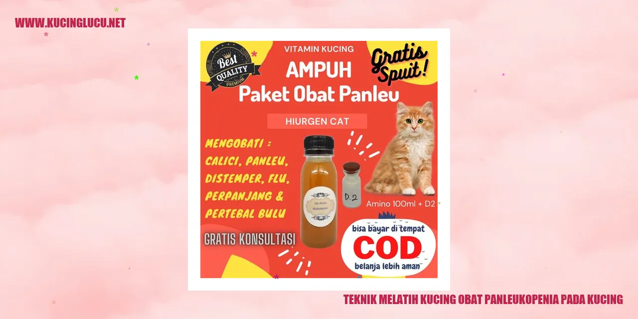 Melatih Kucing