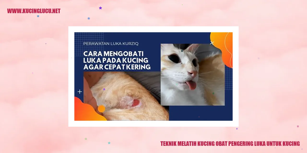Gambar Teknik Menjinakan Kucing dengan Obat Pengering Luka untuk Kucing