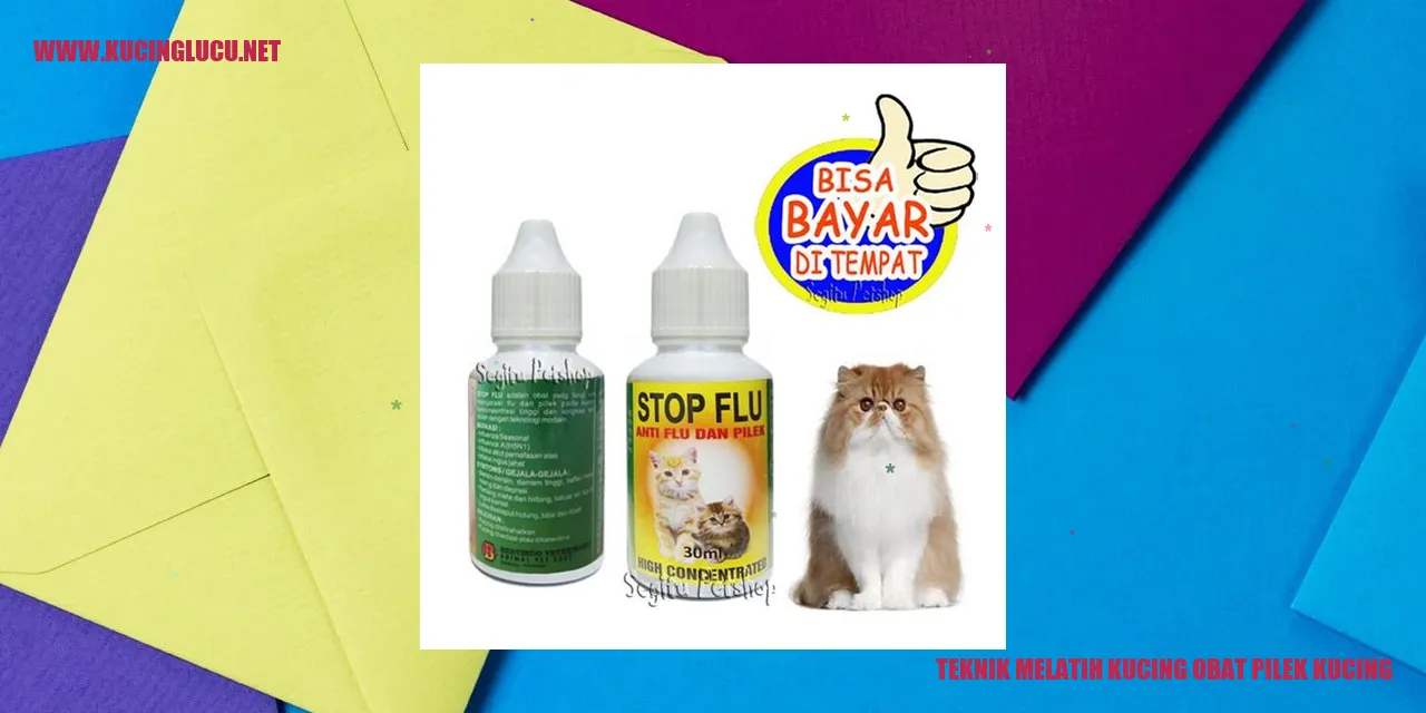 Kucing obat pilek