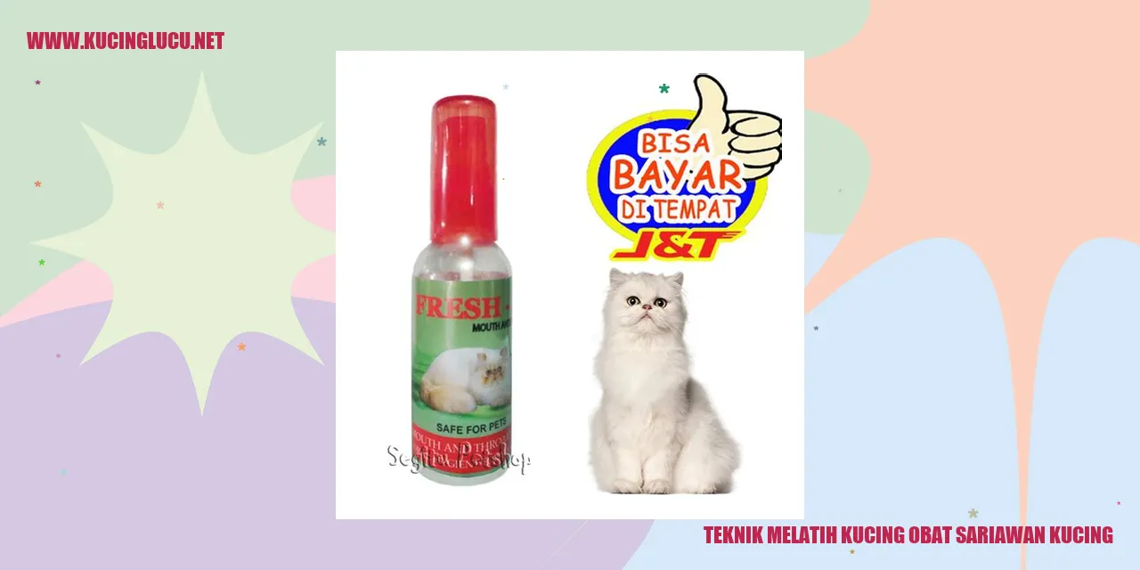Gambar Kucing