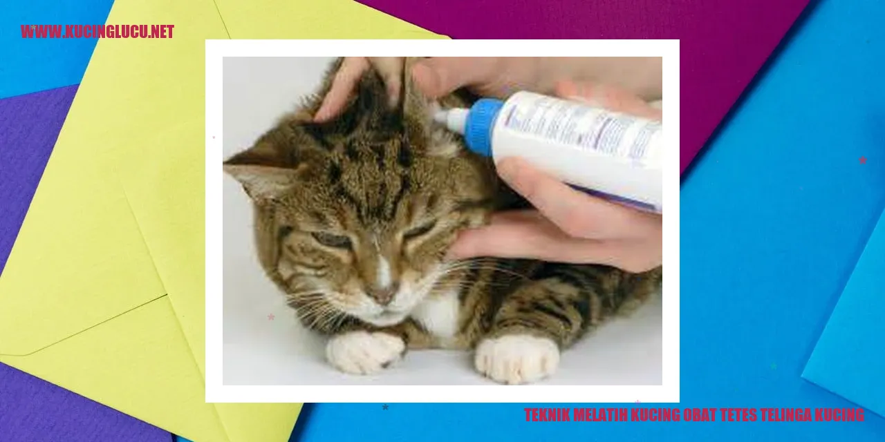 Ilustrasi latihan kucing menggunakan obat tetes telinga