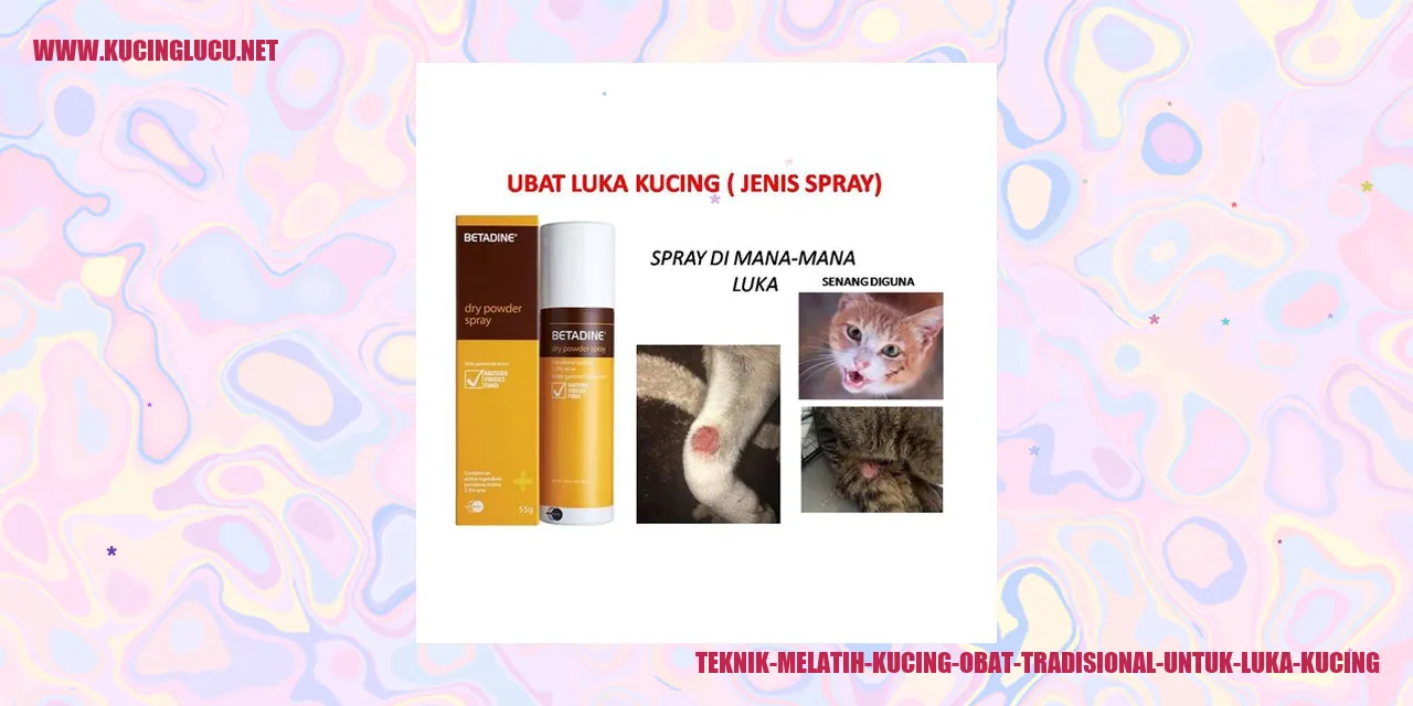 gambar kucing
