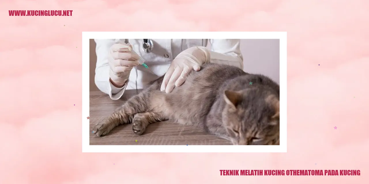 Gambar Kucing yang Lucu