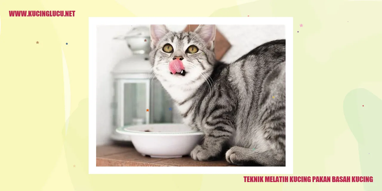 Kucing makan pakan basah