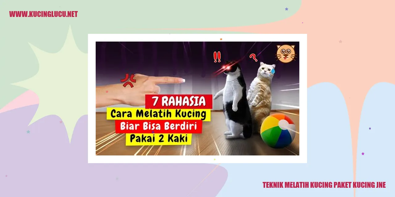 Kucing yang Menggemaskan