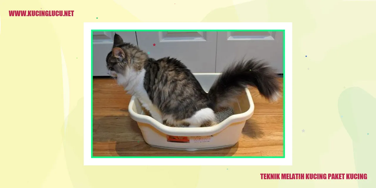 Teknik Melatih Kucing